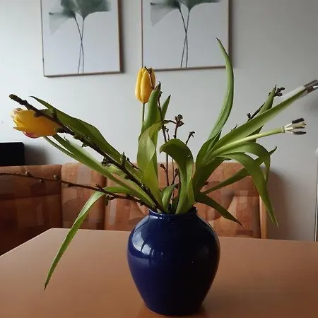 Apartment Ferienzentrum Bodensee *