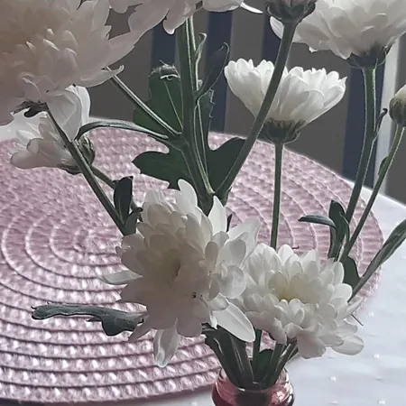 Ferienzentrum Bodensee *