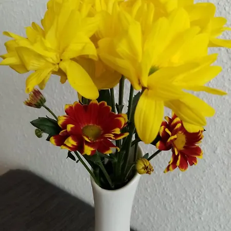 Apartment Ferienzentrum Bodensee *