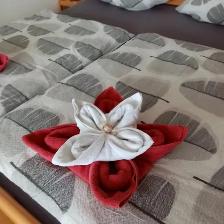 Ferienzentrum Bodensee Apartment Oberteuringen