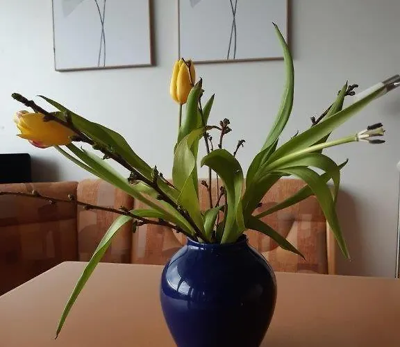 Lägenhet Ferienzentrum Bodensee *