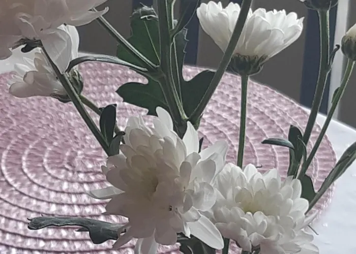 Ferienzentrum Bodensee *