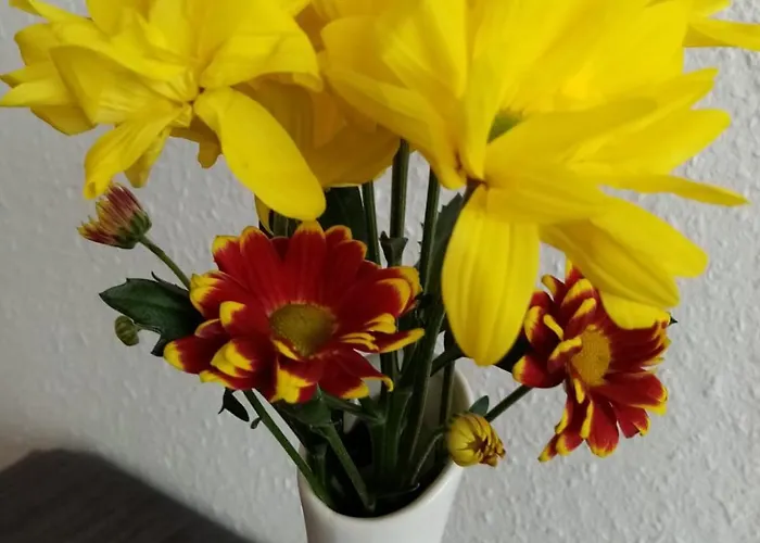 Lägenhet Ferienzentrum Bodensee *